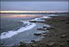 DSCN1146.jpg